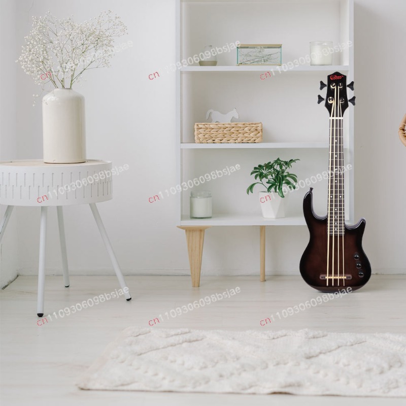 Black Bass elektrische gitaar  - Bass Guitar Strings recensie en prijs